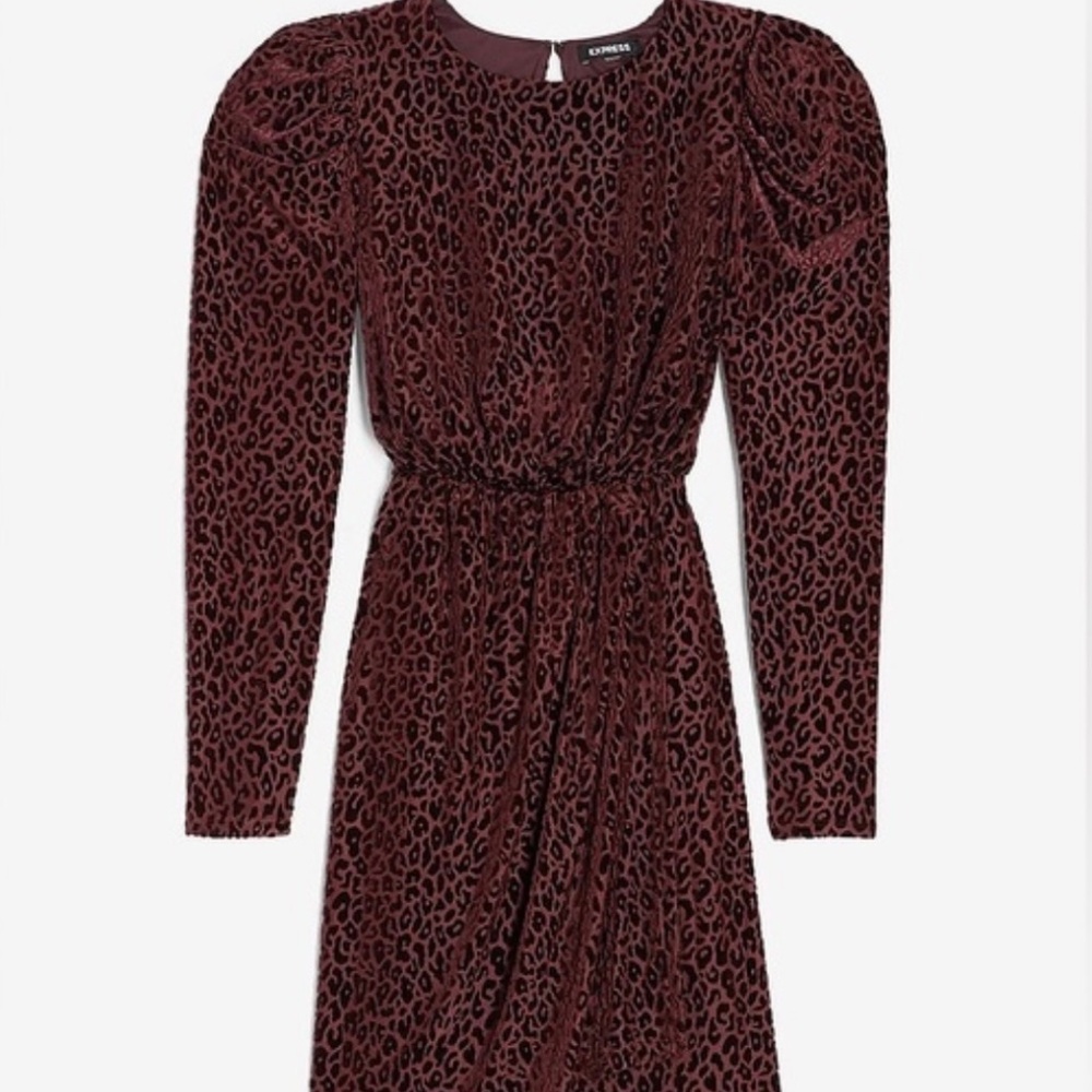 Express Velvet Leopard Puff Sleeve Dress